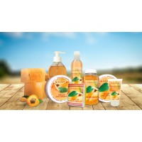 Melon and apricot